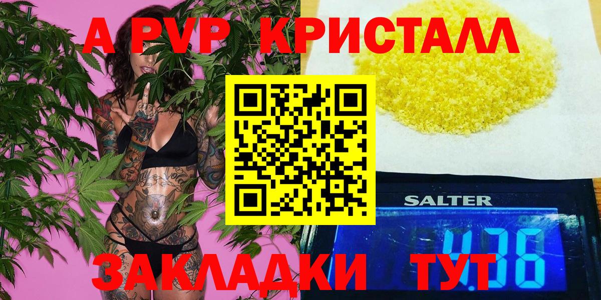 A PVP СК Новосибирск