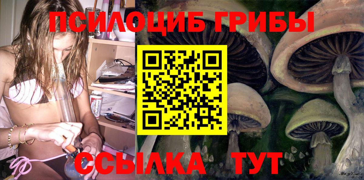 Галлюциногенные грибы прущие грибы Новосибирск